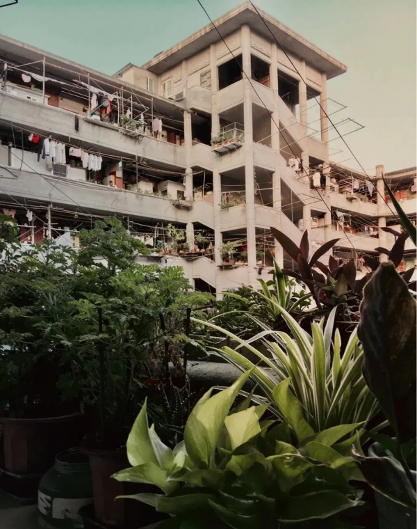 上海“豬籠城寨”一改造,居然美得像城市民宿,網紅蜂擁去打卡… 上海“豬籠城寨”一改造,居然美得像城市民宿,網紅蜂擁去打卡…