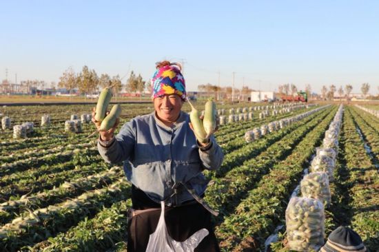 拼出好生活:一群“娘子軍”將山東“水果蘿蔔”賣向全國 拼出好生活:一群“娘子軍”將山東“水果蘿蔔”賣向全國