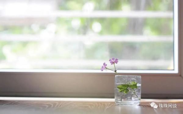 雞毛蒜皮 願能溫柔以待