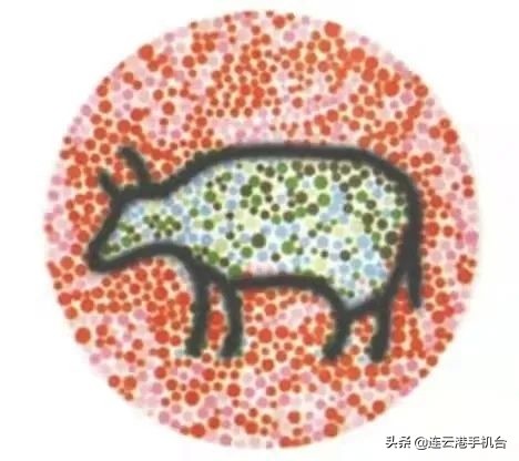 4個眼科測試圖,1分鐘瞭解你的眼睛是否健康 4個眼科測試圖,1分鐘瞭解你的眼睛是否健康