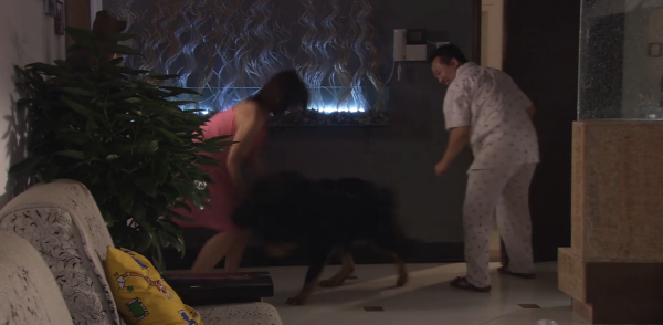 夫妻搬進新小區，被告知不讓養大型犬，藏獒竟咬舌自盡！國產片