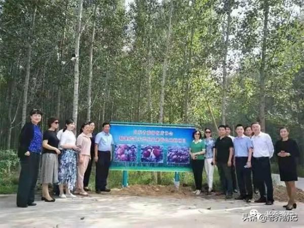 唯一代表全國旅遊系統獲國獎,山東這個協會組織“真有一套” 唯一代表全國旅遊系統獲國獎,山東這個協會組織“真有一套”