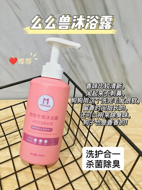 冬天給狗狗洗澡時這點要做對