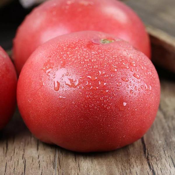 入秋後，女人想要面板白，記得吃6種食物，價格不高，營養豐富