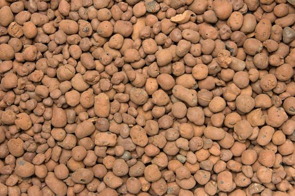 本以為這些網紅養花物品，只有“誇誇其談”，用過才發現很實用