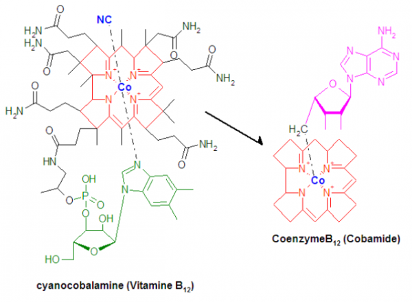 甲鈷胺不僅能修復受損神經，還能用於這3種常見病的治療，好用