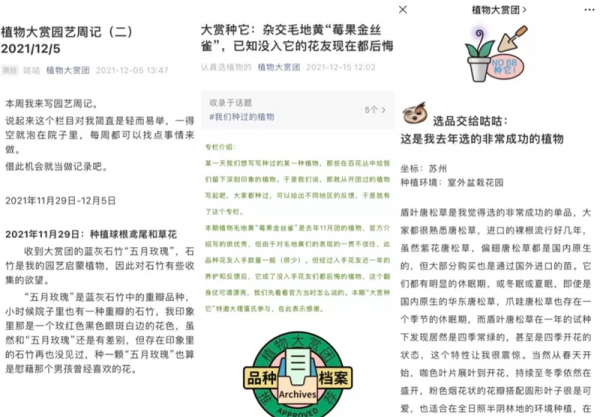 看年輕人如何玩轉小眾植物