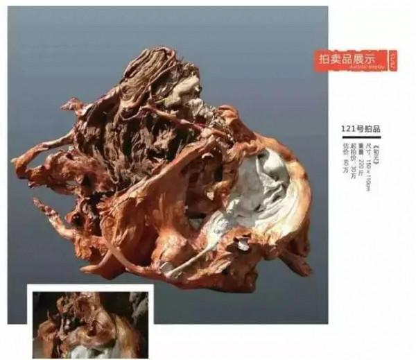 價值3000000元的極品崖柏根雕，到底長啥樣？