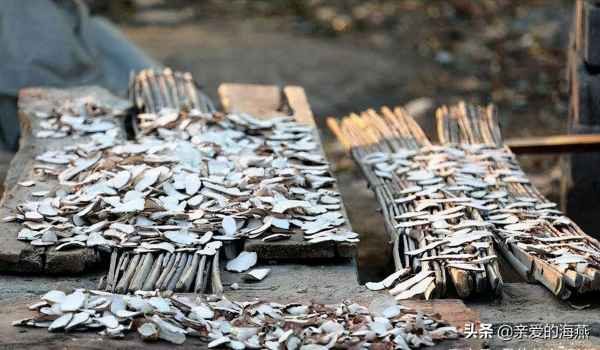 11種七十年代農村老物件老農具，有的成為古董，70後不見得都認識