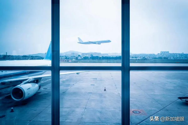 新加坡回中國超實用經驗!行李、登機、健康碼等問題要注意 新加坡回中國超實用經驗!行李、登機、健康碼等問題要注意