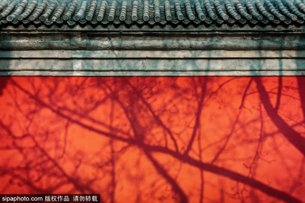 冬日漫步之旅,推開京城四合院的大門,竟發現別有洞天~ 冬日漫步之旅,推開京城四合院的大門,竟發現別有洞天~