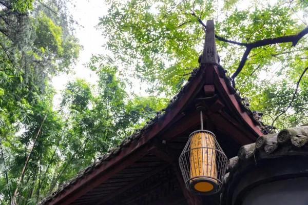 十首詩詞，走過半生，才讀懂其中真意