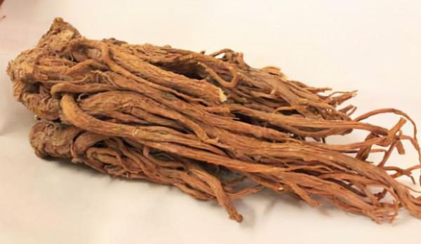 扶正消毒飲——治療痘痘、瘡家的重要方劑