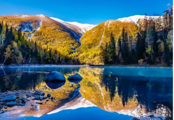 秋天的新疆，美成了桌布