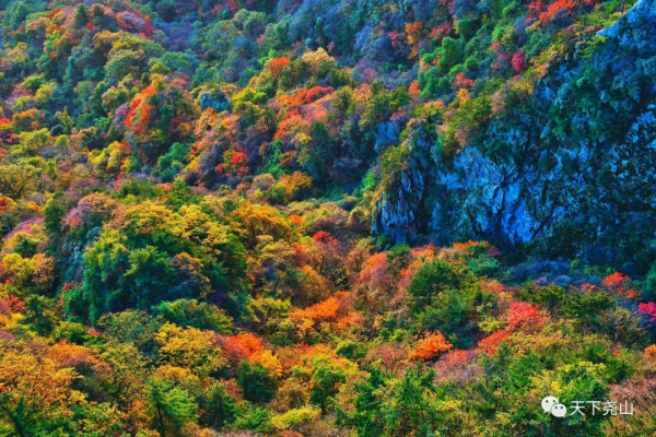 門票全免，索道八折，“堯山·醉美紅葉季”詩意歸來！