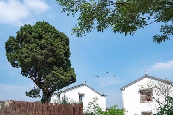 江蘇十大冷門景點，人少景美好玩