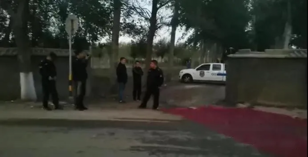 荒唐:收割玉米要鋪“紅毯” 荒唐:收割玉米要鋪“紅毯”