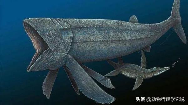 5種滅絕的遠古巨獸，科技還原讓我們來見識下