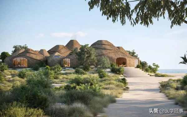 非洲自然界酒店