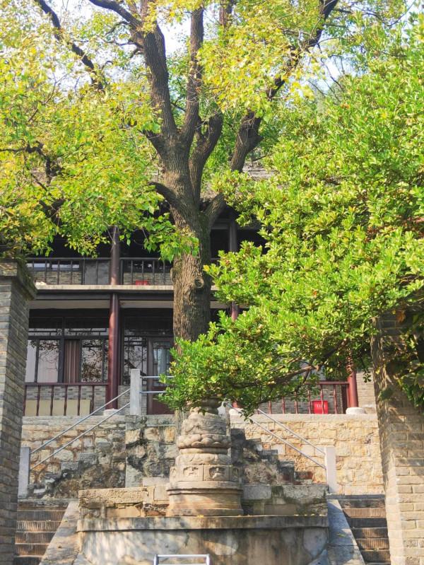 膠州之行_龍門古街