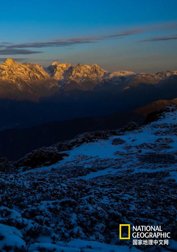 怒放的木裡，美到不真實