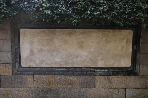 銀杏道的盡頭是大海 銀杏道的盡頭是大海