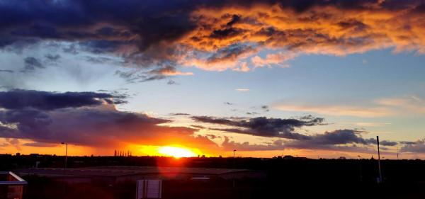 想說啥(277)---元旦、春節和新年 想說啥(277)---元旦、春節和新年