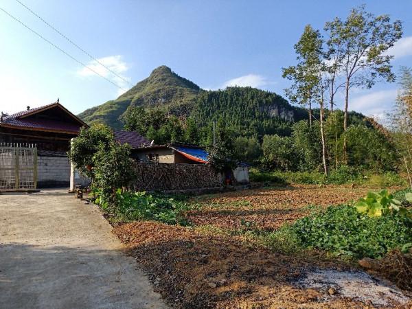 阿紅音樂民宿＃國慶＃來人都是客