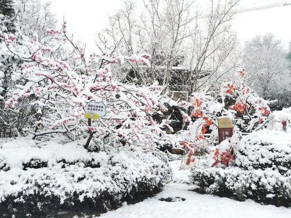 海馬人的朋友圈美爆了！戳進來，看看雪後海馬有多美
