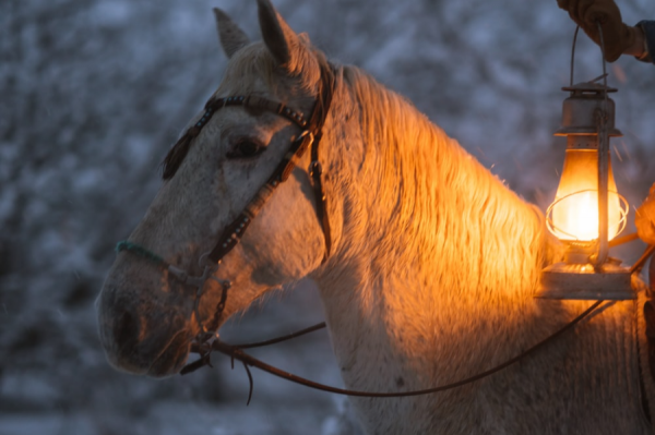 讀懂四大名著，是中國人一生的修行
