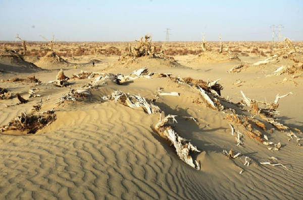 高僅0.6米的“山”，是文物保護單位，還是旅遊開發的“噱頭”？