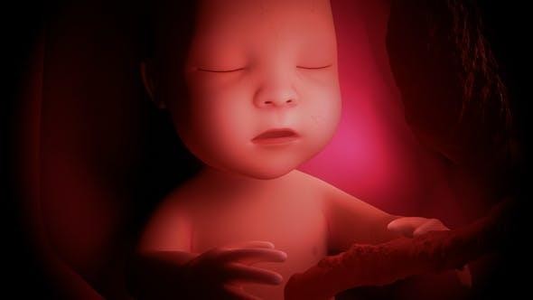 胎兒會“打嗝”?和胎動不一樣的震動,又給媽媽傳遞了哪些資訊 胎兒會“打嗝”?和胎動不一樣的震動,又給媽媽傳遞了哪些資訊