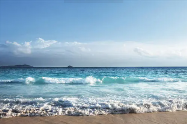 寵物到底用不用喂鹽?為什麼野生動物不用吃鹽,而人卻不吃不行? 寵物到底用不用喂鹽?為什麼野生動物不用吃鹽,而人卻不吃不行?