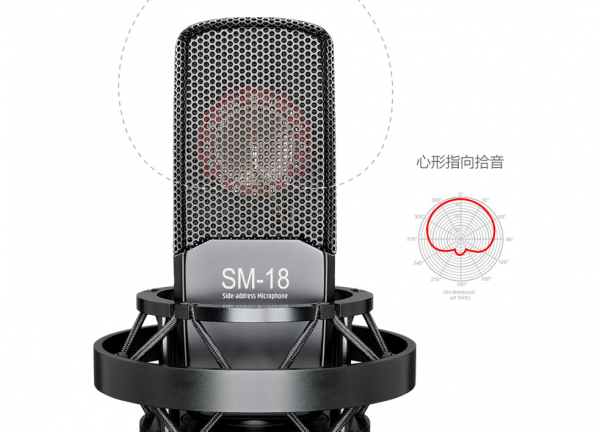 直播K歌：音效卡與麥克風哪個更重要？