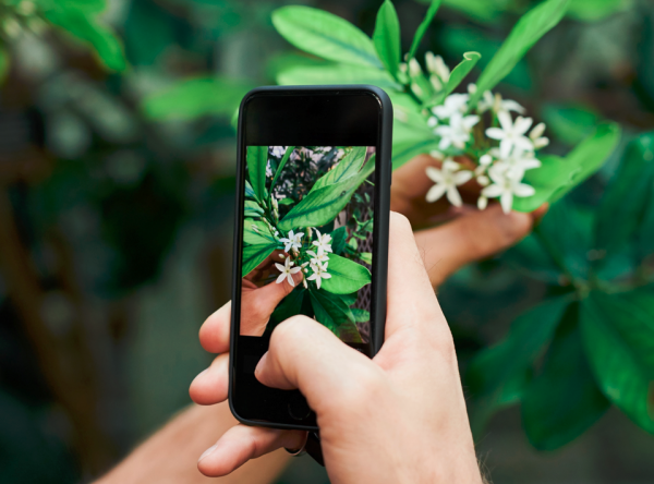 和王菲複合7年後，謝霆鋒被全網怒贊：中年男人的魅力，擋不住了