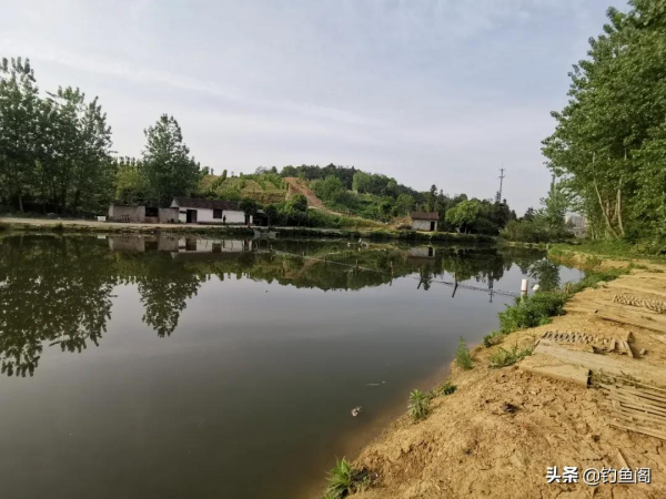 當山奈遇上丁香,一款簡單又好用的釣魚藥酒就誕生了 當山奈遇上丁香,一款簡單又好用的釣魚藥酒就誕生了