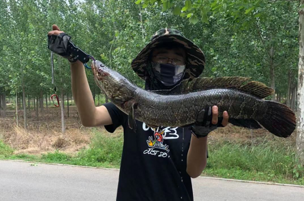 路亞釣魚進階指南:5種國內典型淡水路亞魚種的釣竿選擇思路 路亞釣魚進階指南:5種國內典型淡水路亞魚種的釣竿選擇思路