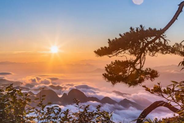 三清山雲海登上中國新聞網!快來抓住三清山雲海升騰的時光…… 三清山雲海登上中國新聞網!快來抓住三清山雲海升騰的時光……