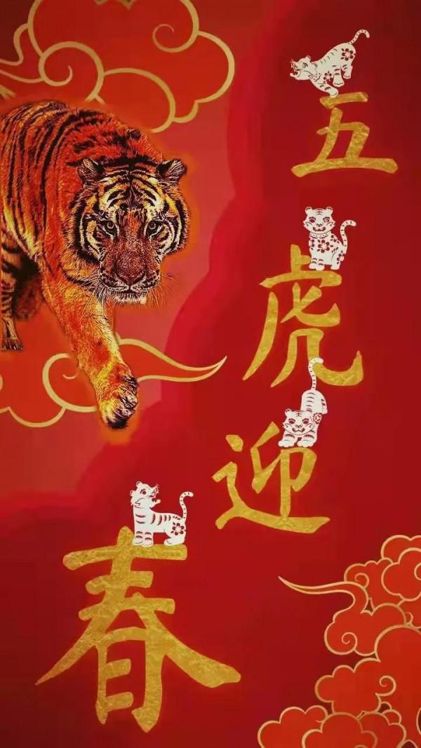 五虎迎春，虎虎生威
