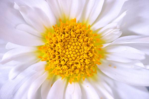 我是高敏感人格,該怎麼走出內耗 我是高敏感人格,該怎麼走出內耗