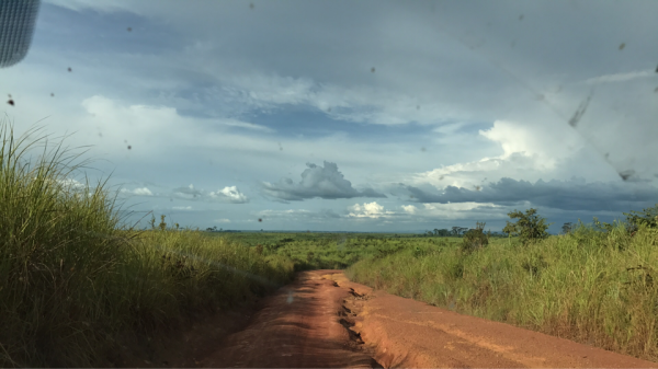 安哥拉往事（80）