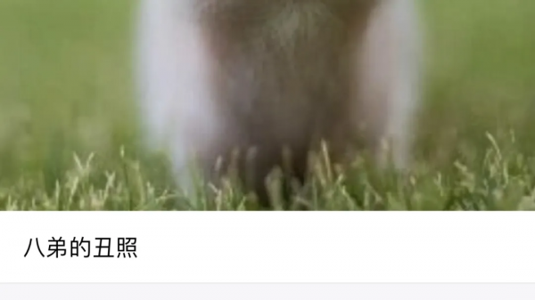 用了5年iPhone，才知道「相簿」能這樣玩