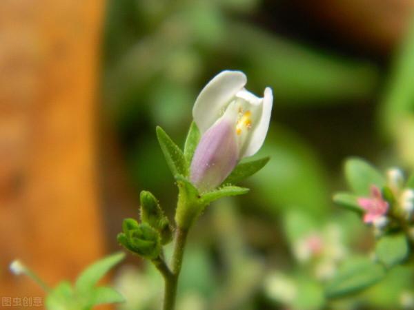 人與人之間,真正舒服的關係是:不越界 人與人之間,真正舒服的關係是:不越界