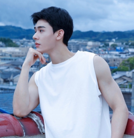 《斛珠夫人》還沒播，卻迎來楊冪新劇，搭檔當紅“流量小生”