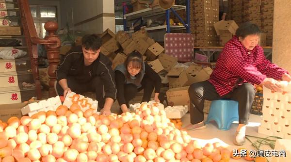 當95後遇到農業，12萬“新新農人”把產地品牌講出新故事