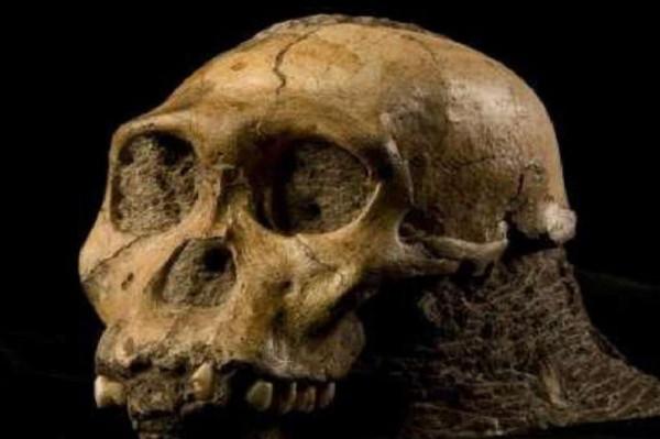 宇宙若沒有人類，還有意義嗎？宇宙其實從未主動打算使人類誕生