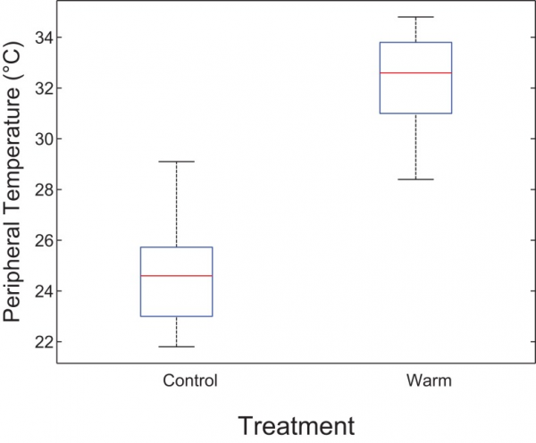 人挨凍時，會增肌還是減脂？(掌握規律/無往不利！)