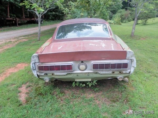 被遺棄的經典跑車 1967年謝爾比GT500被發現