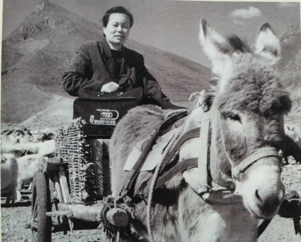 豐寧人民發明了一個漢字，特別好玩，也好用，但終究不被官方認可