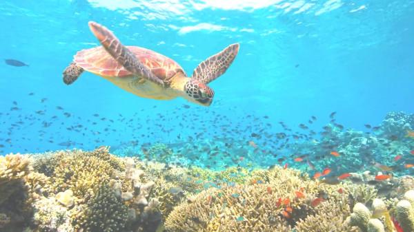 宇宙、地球、月亮的起源